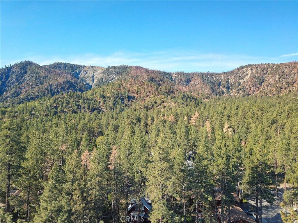 Image 17 of property listing at 1219 Irene, Wrightwood, CA 92397
