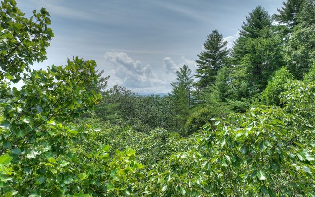 LT 22 Rolling Hills Drive, Morganton, GA 30560