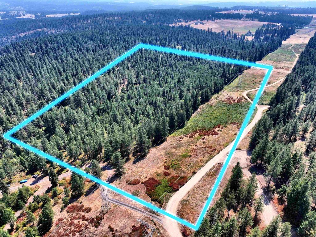 342XX N Waldrons Ln, Chattaroy, WA 99003 photo 2