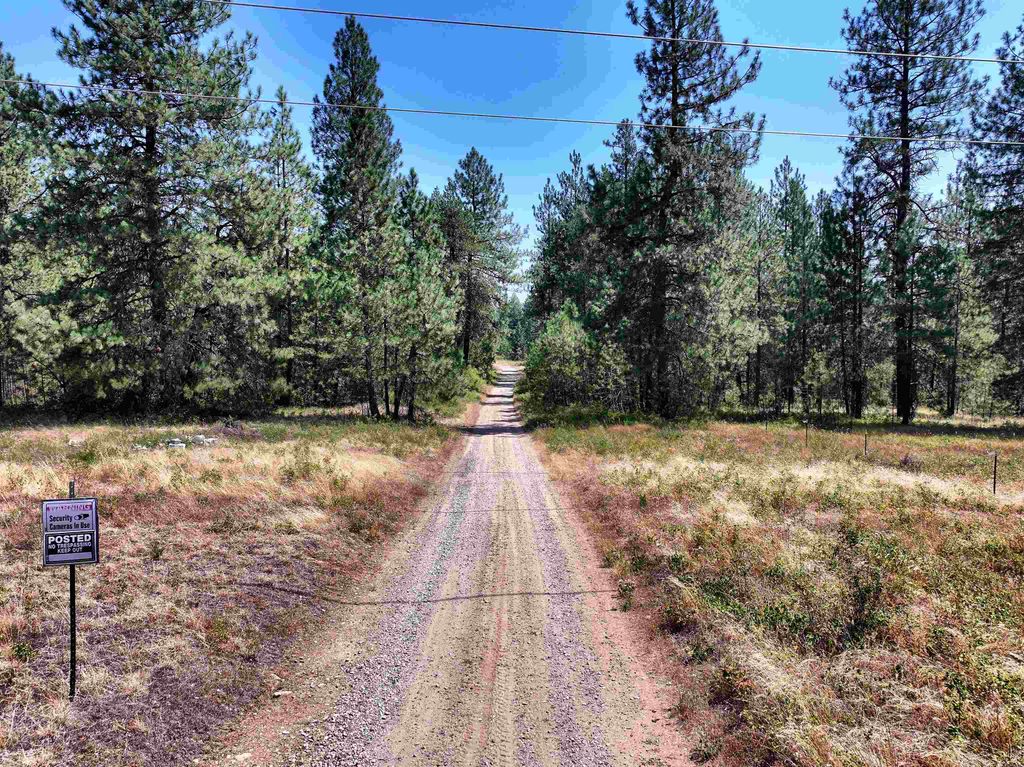 342XX N Waldrons Ln, Chattaroy, WA 99003 photo 3