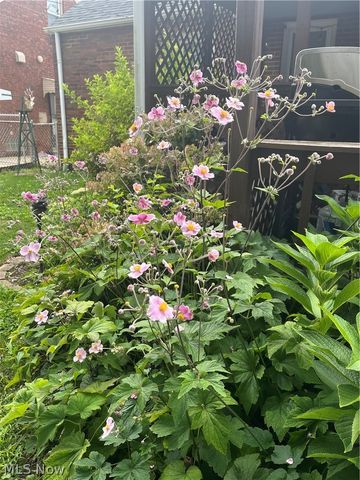 14730 Orchard Park Avenue, Cleveland, OH 44111