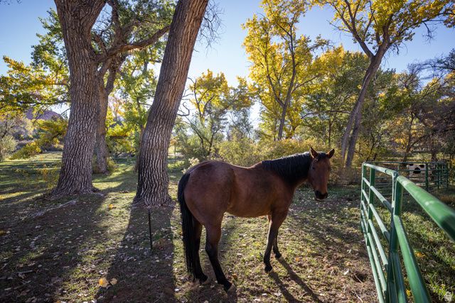 2927 S EAST BENCH RD, Moab, UT 84532