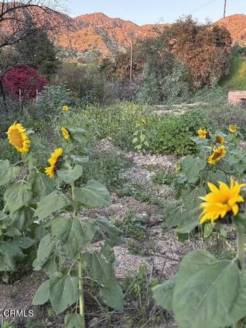 0 Jaxine Drive, Altadena, CA 91001