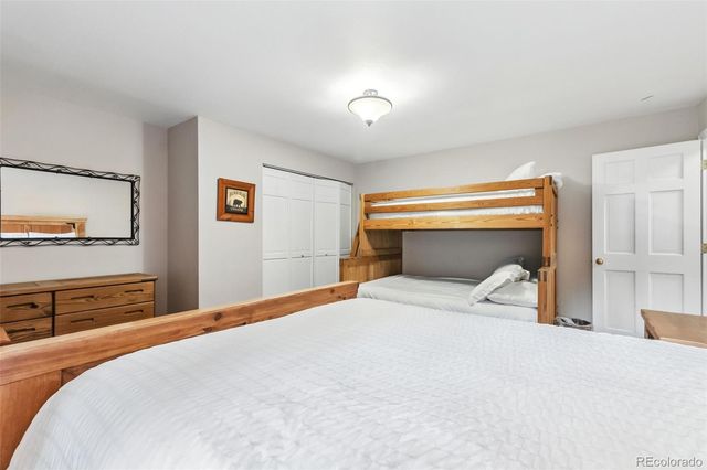 46 Indiana Creek Road, Breckenridge, CO 80424