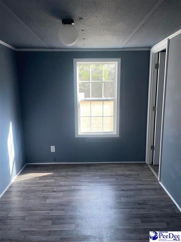 117 Buck Springs Ln, Cheraw, SC 29520