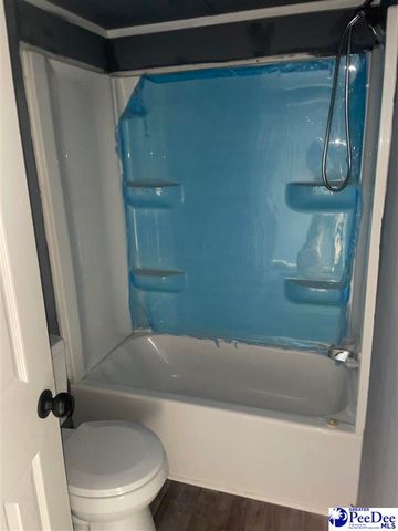 117 Buck Springs Ln, Cheraw, SC 29520