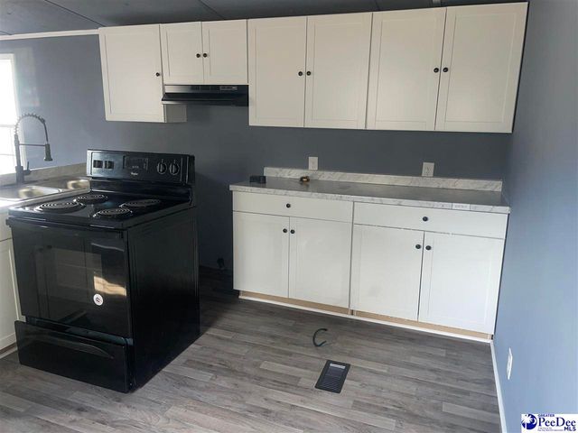 117 Buck Springs Ln, Cheraw, SC 29520