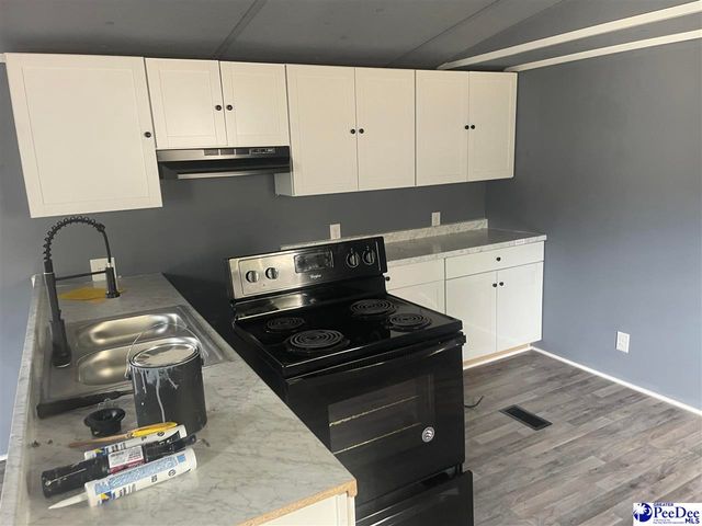 117 Buck Springs Ln, Cheraw, SC 29520