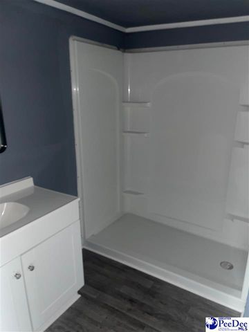 117 Buck Springs Ln, Cheraw, SC 29520