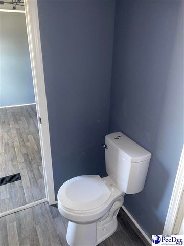 117 Buck Springs Ln, Cheraw, SC 29520