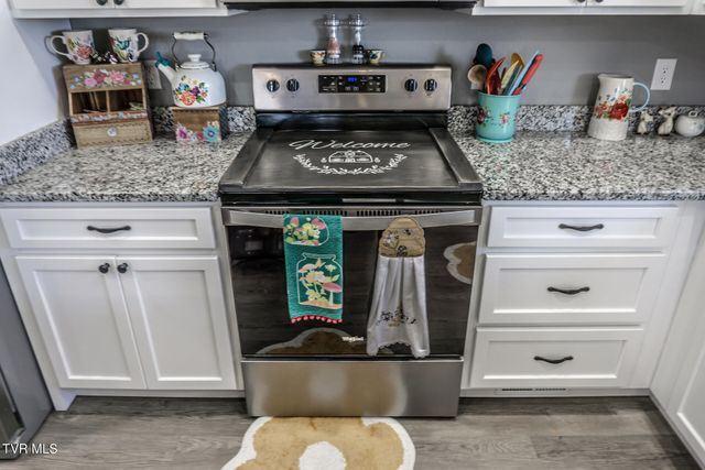 80 Polly Anna Drive, Mosheim, TN 37818