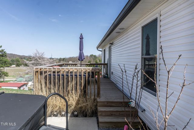 80 Polly Anna Drive, Mosheim, TN 37818