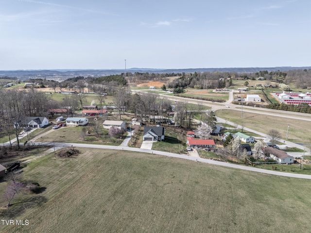 80 Polly Anna Drive, Mosheim, TN 37818