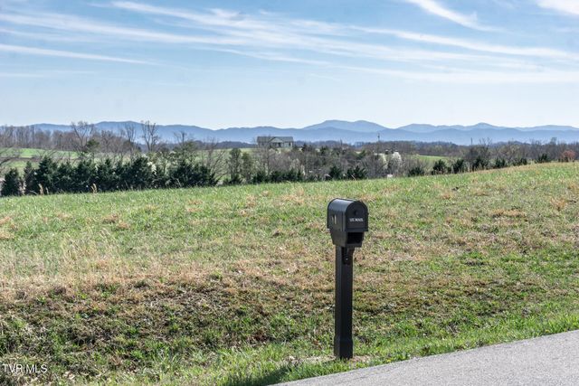 80 Polly Anna Drive, Mosheim, TN 37818