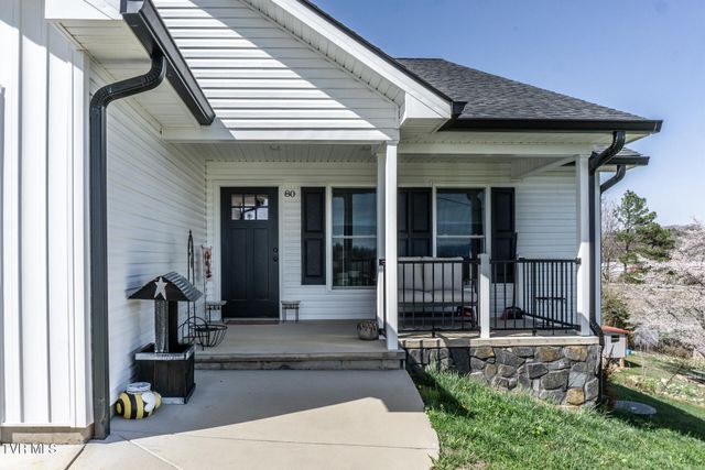 80 Polly Anna Drive, Mosheim, TN 37818