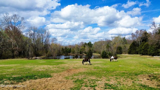 286 Caleb Lane, Coldwater, MS 38618
