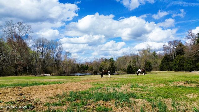 286 Caleb Lane, Coldwater, MS 38618