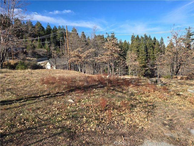 2350 deep creek, Running Springs, CA 92382