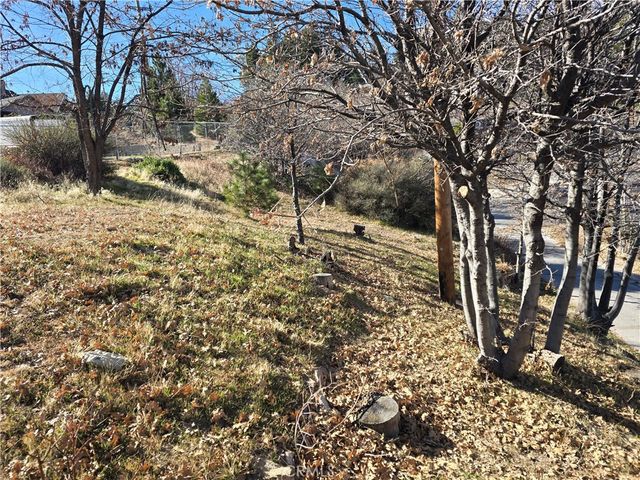 2350 deep creek, Running Springs, CA 92382