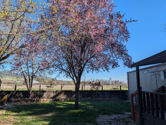 1055 N 5th UNIT 19, Jacksonville, OR 97530