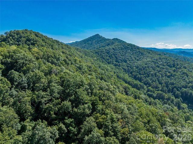 9999 Panther Creek Road B, Clyde, NC 28721