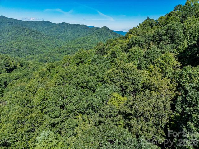 9999 Panther Creek Road B, Clyde, NC 28721