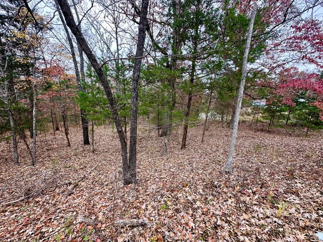 153 County Road 624, Isabella, MO 65676