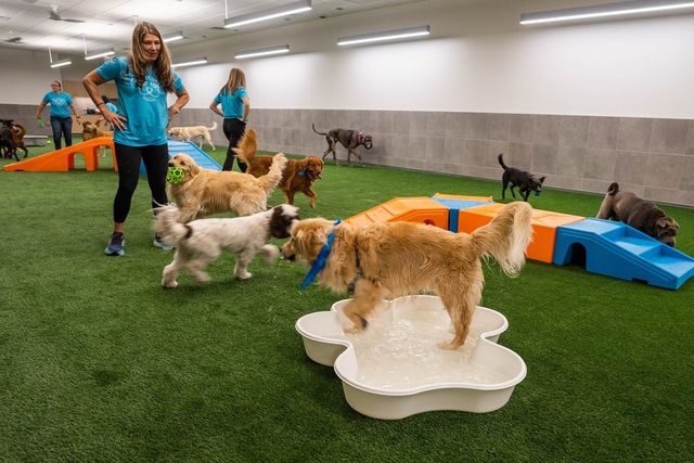 240 Devonshire Street 5312, Boston, MA 02110