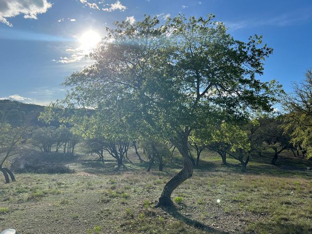 215 Oakhampton Trail, Ingram, TX 78025