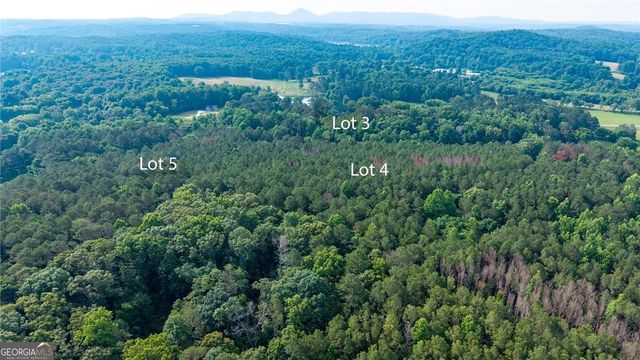 LOT 5 Highway 136 Connector, Talking Rock, GA 30175