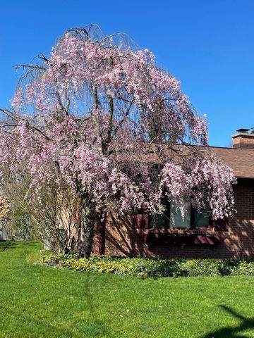 1725 Millbank Street Se, City Of Grand Rapids, MI 49508