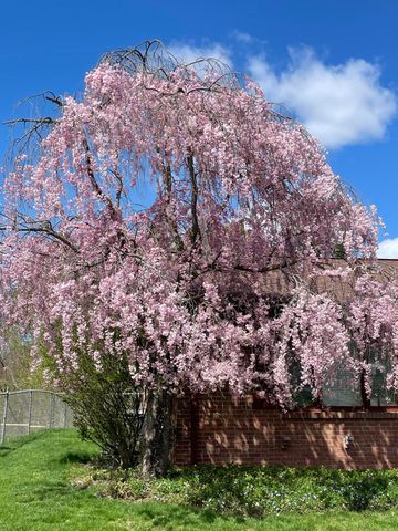 1725 Millbank Street Se, City Of Grand Rapids, MI 49508