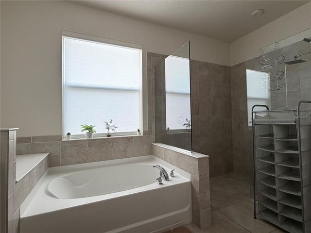 2422 RIVERBANK COVE, Kissimmee, FL 34741