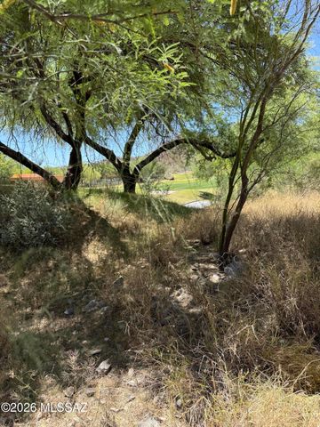 3177 Flowering Cactus Court, Tucson, AZ 85745