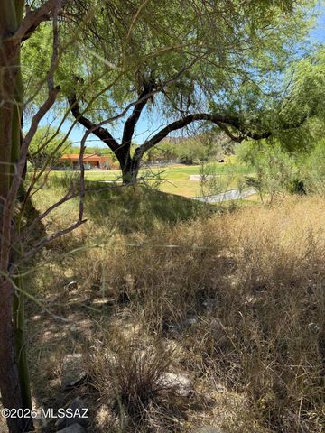 3177 Flowering Cactus Court, Tucson, AZ 85745