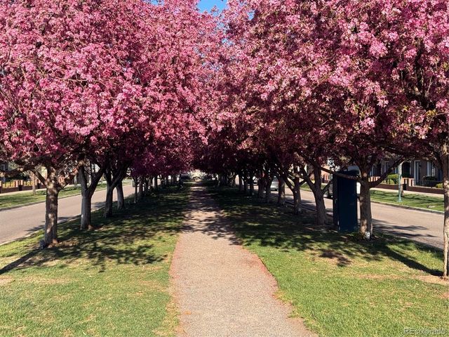 4108 W 118th Place, Westminster, CO 80031