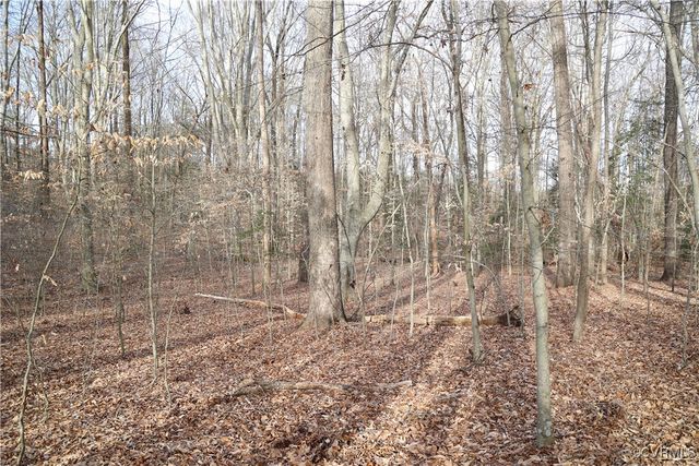 22175 Cool Water Dr, Ruther Glen, VA 22546
