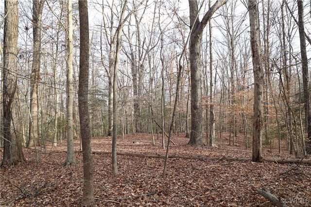 22175 Cool Water Dr, Ruther Glen, VA 22546