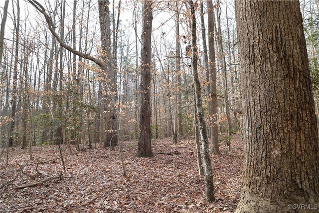 22175 Cool Water Dr, Ruther Glen, VA 22546
