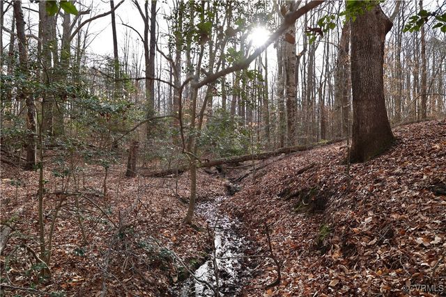 22175 Cool Water Dr, Ruther Glen, VA 22546