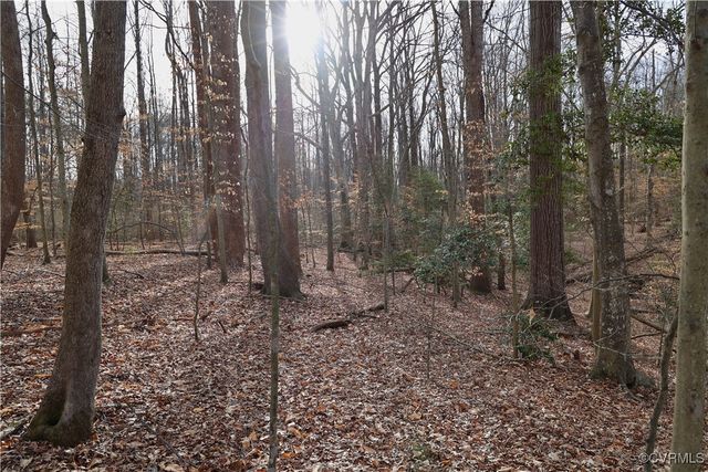22175 Cool Water Dr, Ruther Glen, VA 22546