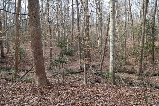 22175 Cool Water Dr, Ruther Glen, VA 22546