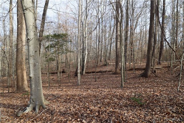 22175 Cool Water Dr, Ruther Glen, VA 22546