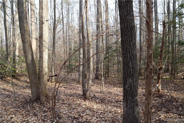 22175 Cool Water Dr, Ruther Glen, VA 22546