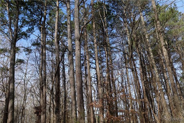 22175 Cool Water Dr, Ruther Glen, VA 22546