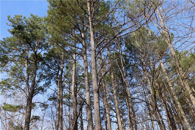 22175 Cool Water Dr, Ruther Glen, VA 22546