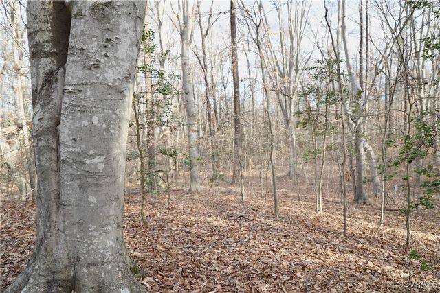22175 Cool Water Dr, Ruther Glen, VA 22546