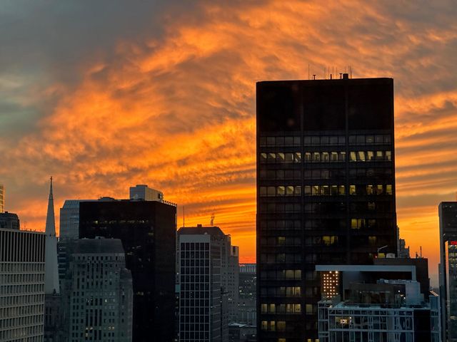 130 N Garland Court 4101, Chicago, IL 60602