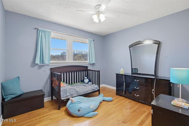 1117 Brockway Drive, Kingsport, TN 37663