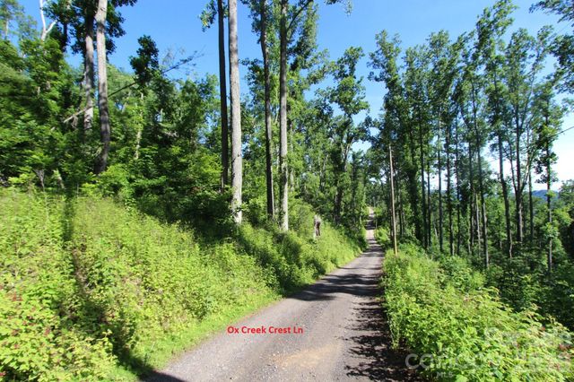 00 Ox Creek Crest Lane, Weaverville, NC 28787